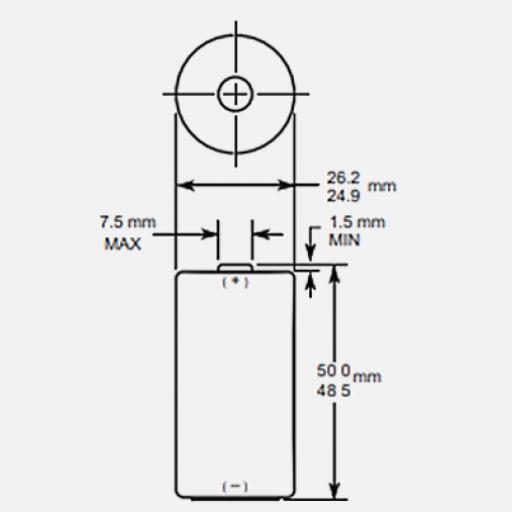 Procell Constant C Batteries